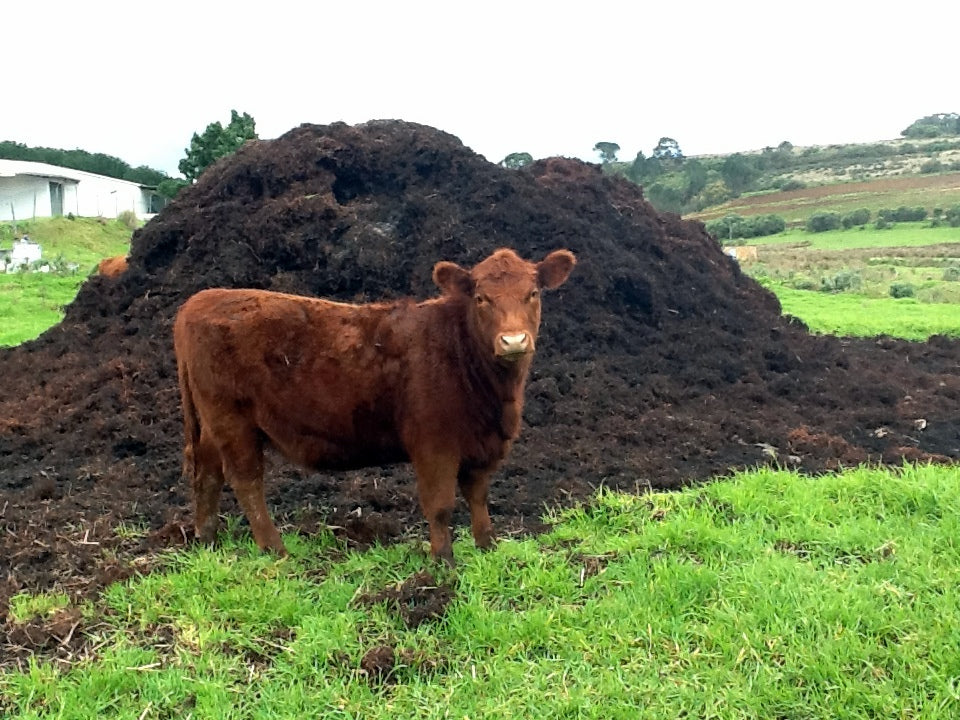 Methane Generation From Farm Waste