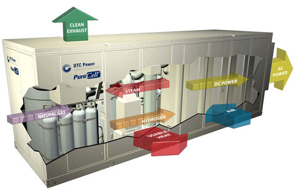Energy Conversion via a Biogas Fuel Cell: What are the environmental & economic costs?