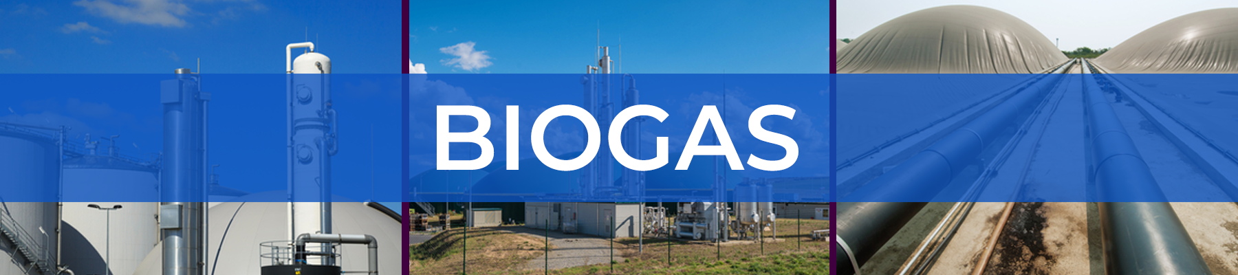 Biogas Analyzer
