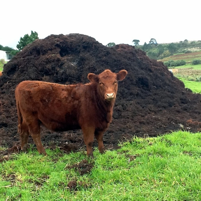 Methane Generation From Farm Waste