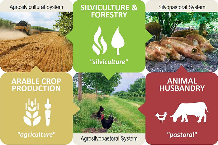 Impacts of Food Production on Air Quality and Health