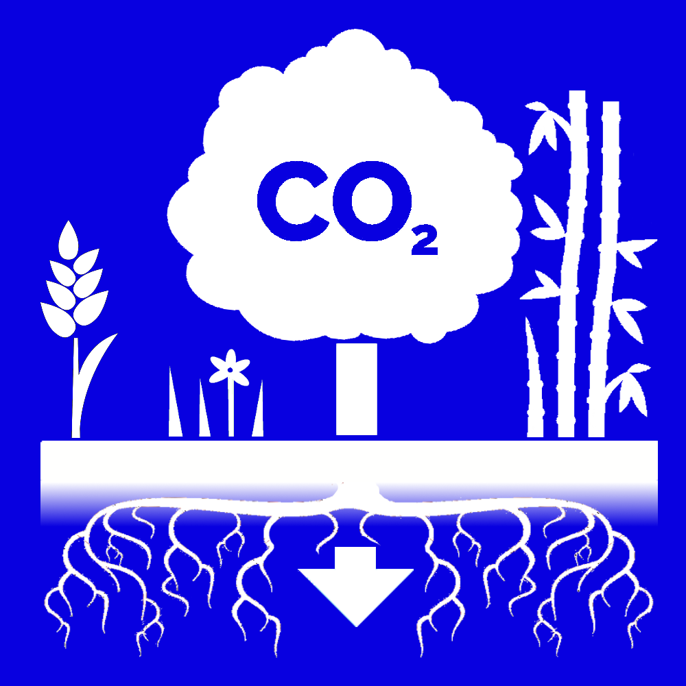 Is Carbon Capture and Storage a Feasible Solution for Removing CO2 from the Atmosphere?
