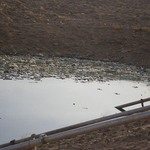 Preventing PFAS Contamination from Landfills will Protect Human and Environmental Health