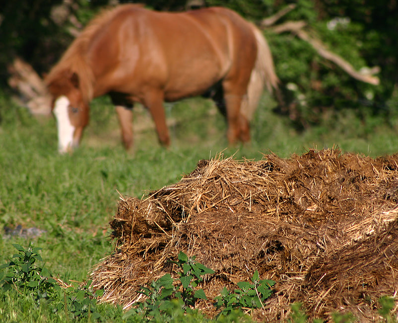 Benefits of Combining Farm-based Food Waste with Manure Anaerobic Digestion