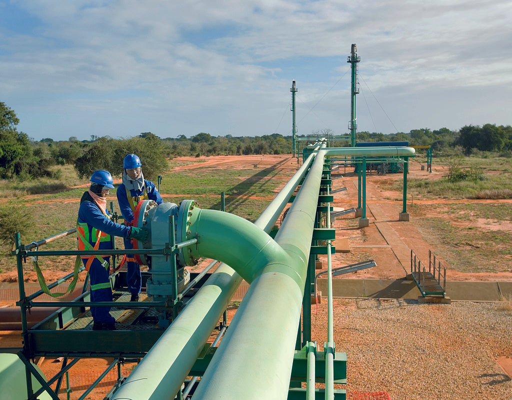 Upgrading Biogas for Pipeline Injection: What are the Environmental and Economic Costs?