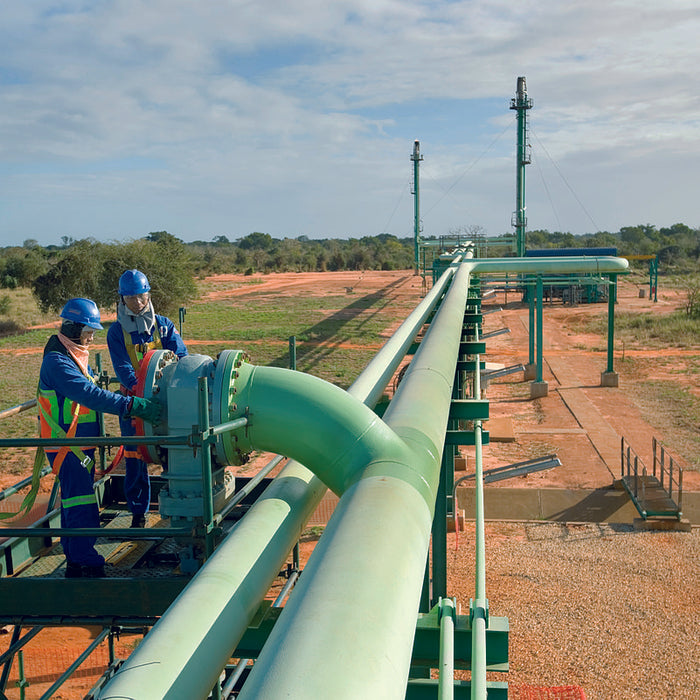 Upgrading Biogas for Pipeline Injection: What are the Environmental and Economic Costs?