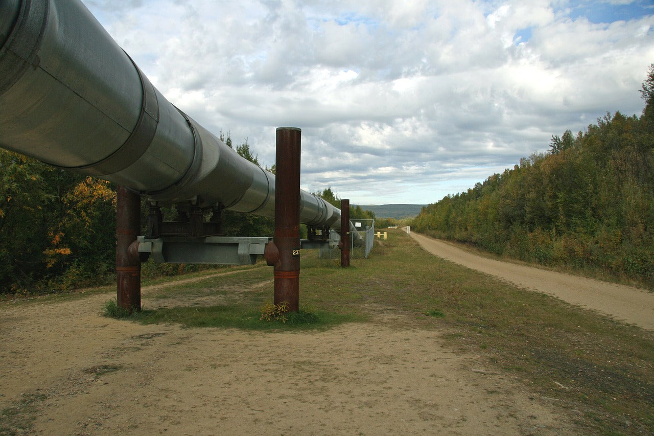 Renewable Natural Gas Incentives and Policies for Pipeline Injection