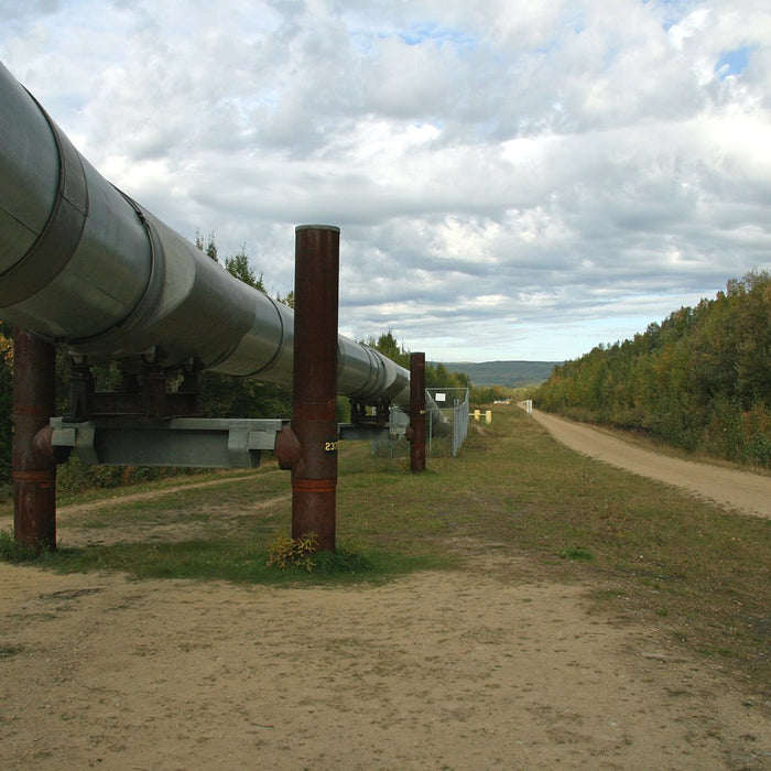 Renewable Natural Gas Incentives and Policies for Pipeline Injection