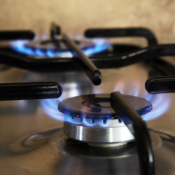 What Affects the Quality of Renewable Natural Gas (RNG)?