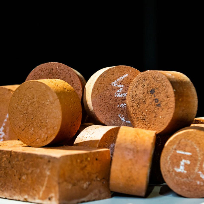 Recycling Sewage Biosolids to Manufacture Sustainable Bricks