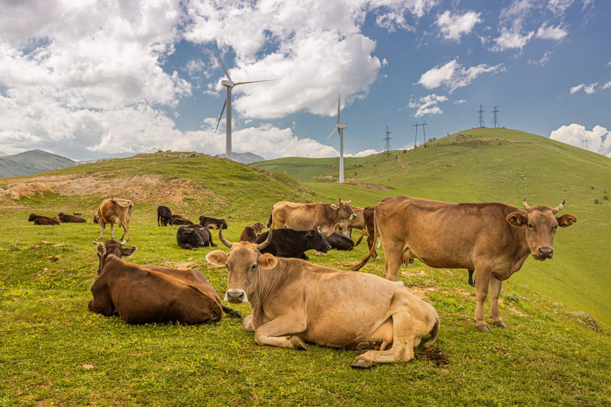The Future of Methane