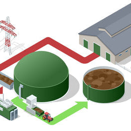 The Path to Biogas Expertise