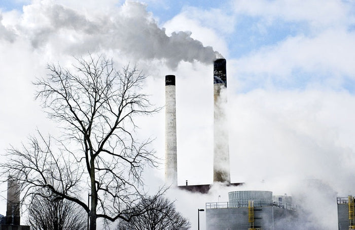 Gases Responsible for Climate Warming at Record High Concentrations
