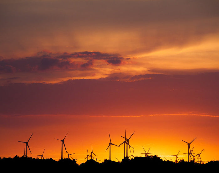 Climate Change Policies Could Impact Global Stock Markets