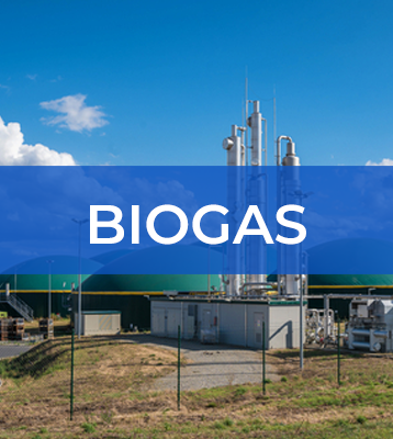 Bio Gas Analyzer