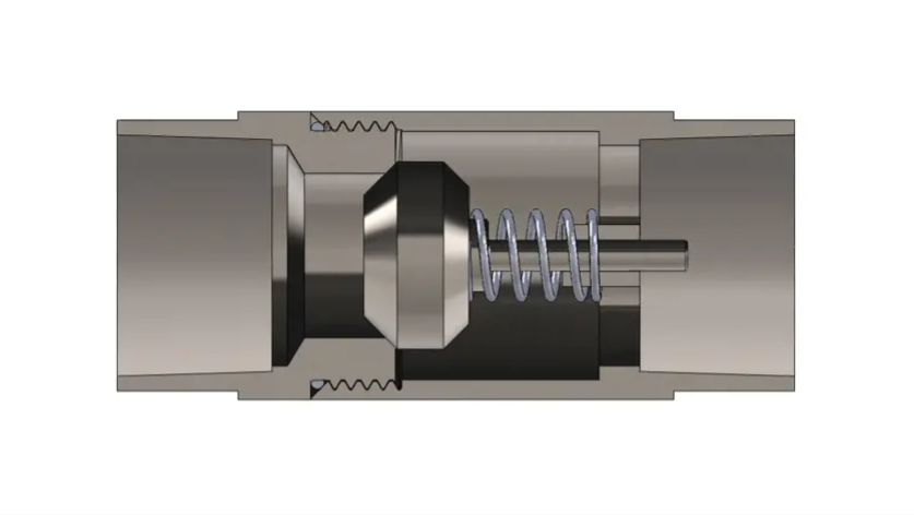 Stainless Steel Check Valve
